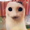 oogeyboogey64