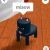 miaumiau4611