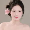 dau_iu04