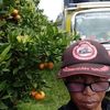 eko.sanjaya617