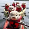 kayaktime007