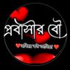 user88733383586836
