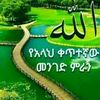 user27453721602