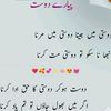 shahzaib.rajput559
