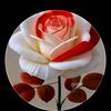 shaista.afzal77