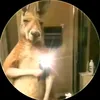matias_17_l