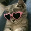 url_zah