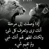 user5973127671858
