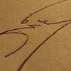 aelod2