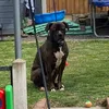 denise842009
