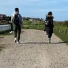 dodgytarget22