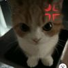 ralynza_123456