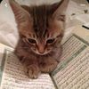 islamicgirlhere131
