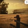 icla601_reddead