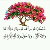 noor.hussn4