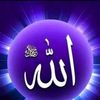 user8822814022565