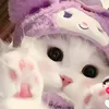 vbhwww