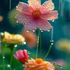 sarfaraz.khan0074