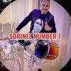 sorinel.pustiu.nr1