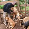 Allan dogs rescue