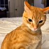 nelly.mohamed64