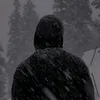 hz_5008