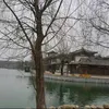 qijia57
