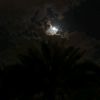 nawafohd59f