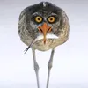 c.mexyatina