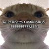 dihpaansih3