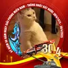 phamxuantuan4