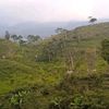 rizkypratama9933