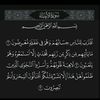 user6033810919492