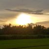 followenrek05