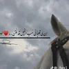 zoze1507