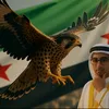 tamim.tz