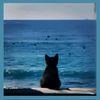 ingygmail.com12