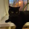 milka_meow08
