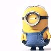 iniisemm_