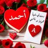 user4490179871539