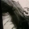 aysu__142