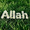 quran.lovers28