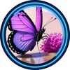 user92216371065791