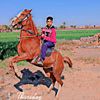 user9311363110756