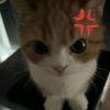 ali_skibidi5784284
