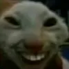 userkr_mxs