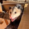 tonguepunchmyfartboxuwu