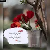 user8447786735746