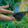 eman_19082