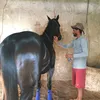plinio.matos8